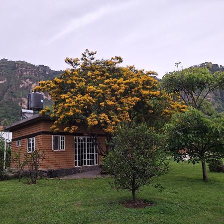 Posada Meztitla Tepoztlán Exteriör bild