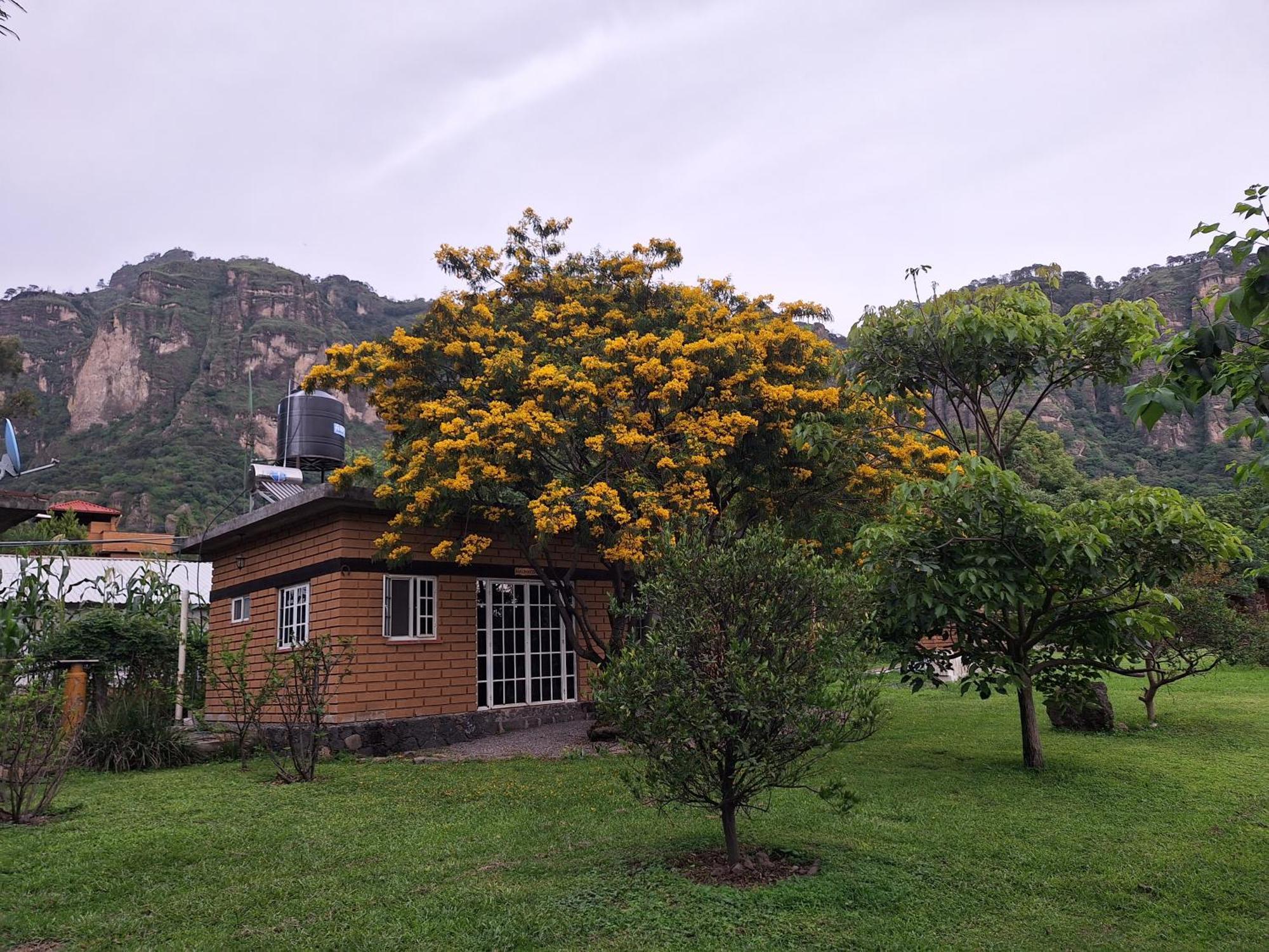 Posada Meztitla Tepoztlán Exteriör bild
